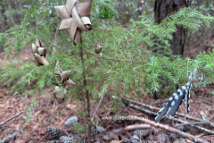 Xmas-Tree-02